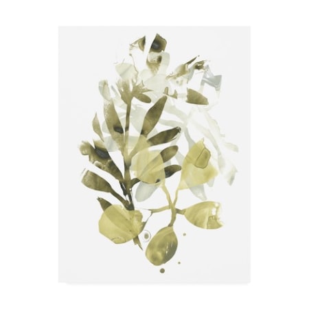 June Erica Vess 'Lichen And Leaves Ii' Canvas Art,18x24